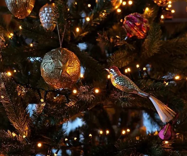 Alpesi faház Morgane *