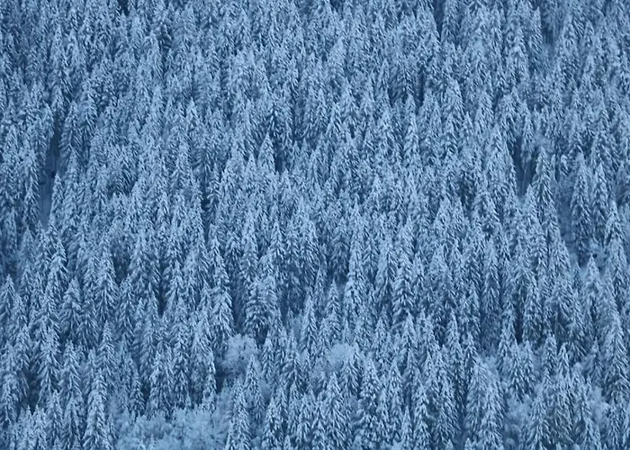 Morgane Alpesi faház